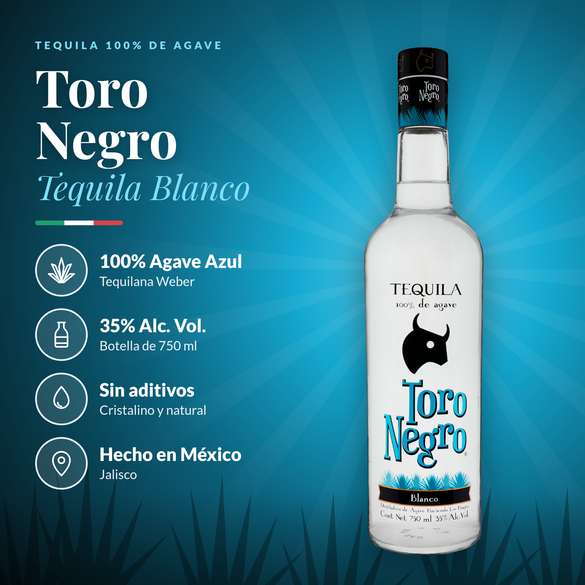 Toro Negro Blanco 2